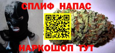 хмурый Аша