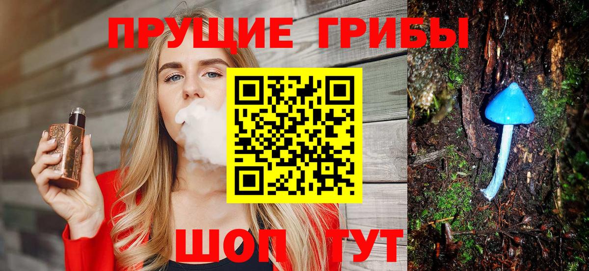 Удомля  Галлюциногенные грибы мицелий  Вход с VPN 