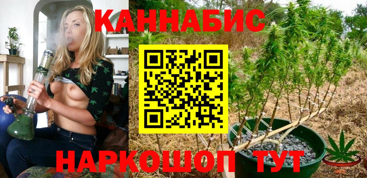 Каннабис индика Удомля